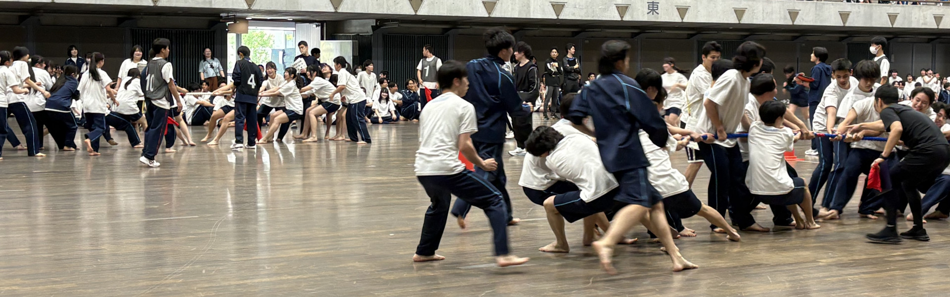 Image (1)